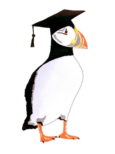 A hand-drawn and painted picture of a puffin wearing a mortarboard hat