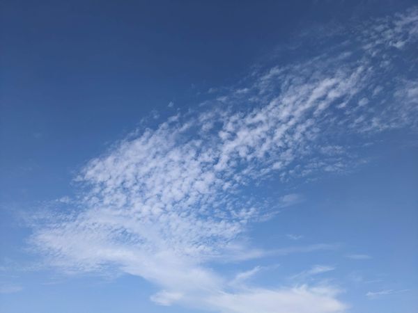 A cloud that looks a bit like a bird in flight