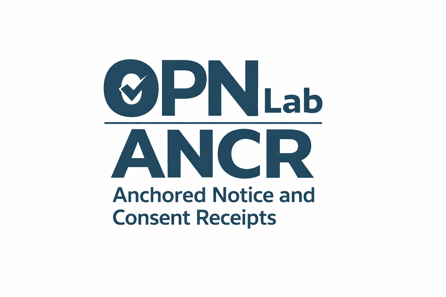 Transparency Performance Indicators: Benchmarking Age Assurance