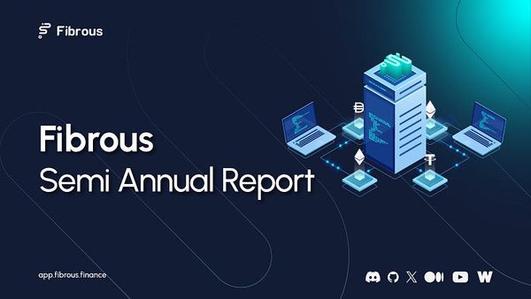 Fibrous Semi Annual Report — 2024