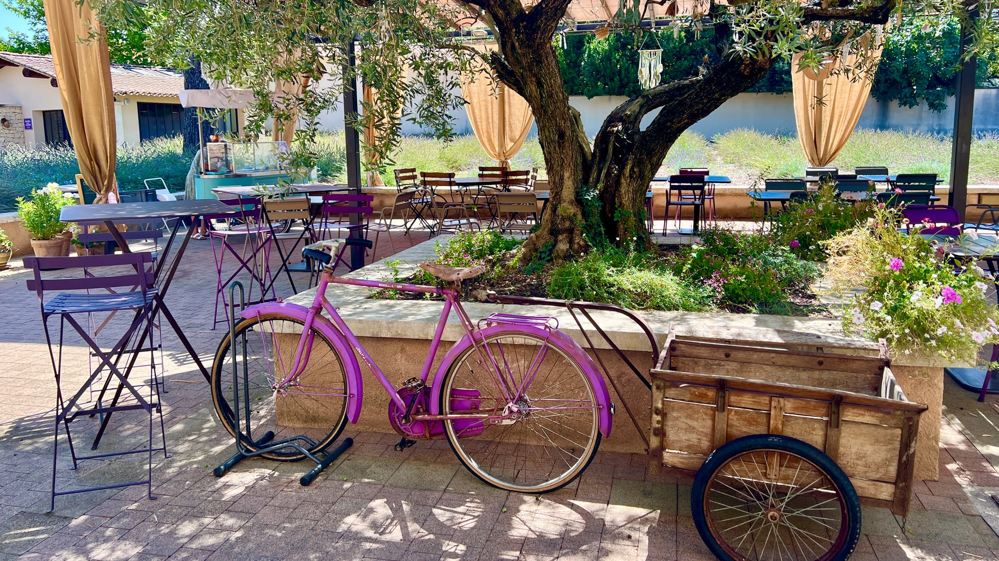 Alonity ─新しい時代のコミュニティの在り方