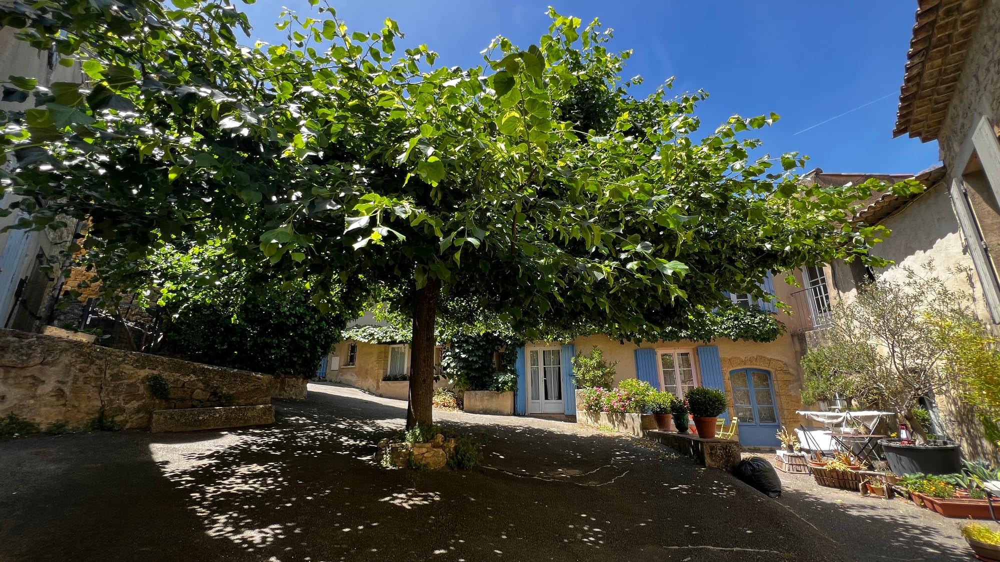 Provence —思想家が集まる聖地