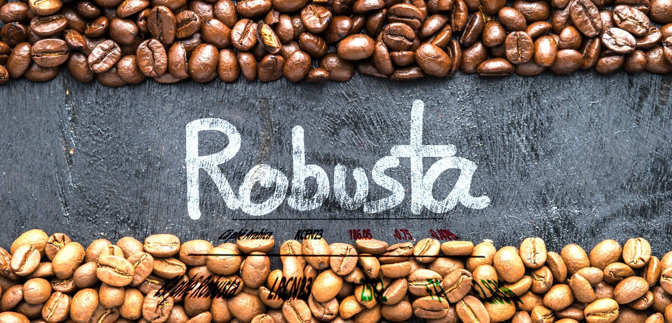 Giá Robusta cũng có phiên tăng thứ 4 liên tiếp với mức tăng gần 3%