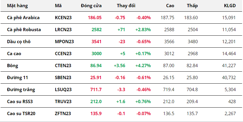 Giá Robusta cao nhất trong 12 năm dù cho Dollar Index khởi sắc