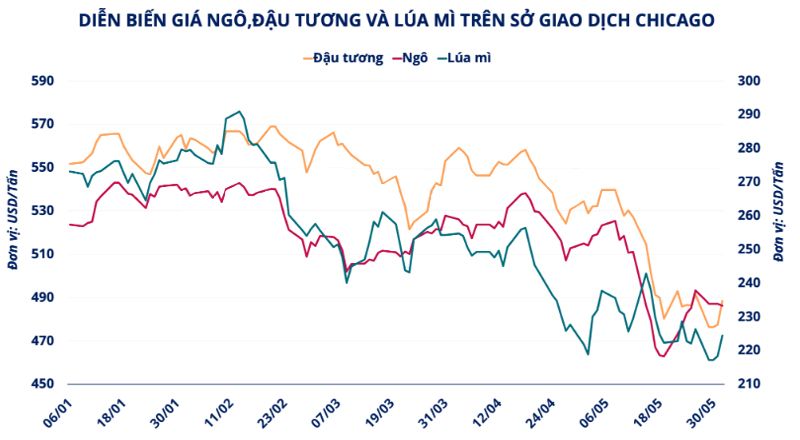 Hàng hóa Futures