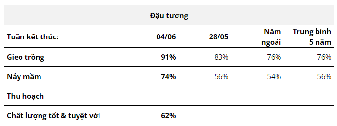 Hàng hóa Futures