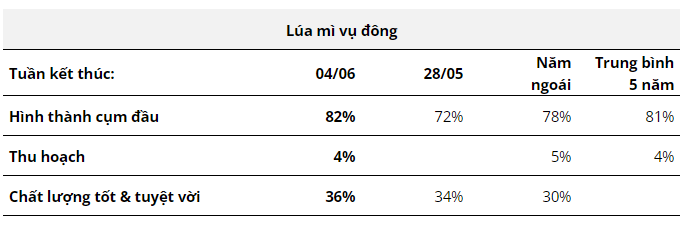 Hàng hóa Futures