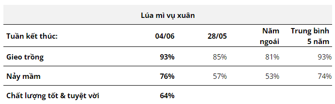 Hàng hóa Futures