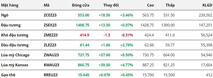 hanghoafutures.com