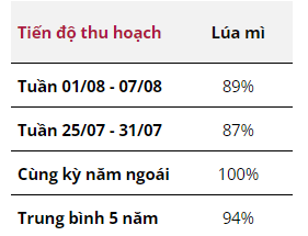hanghoafutures.com