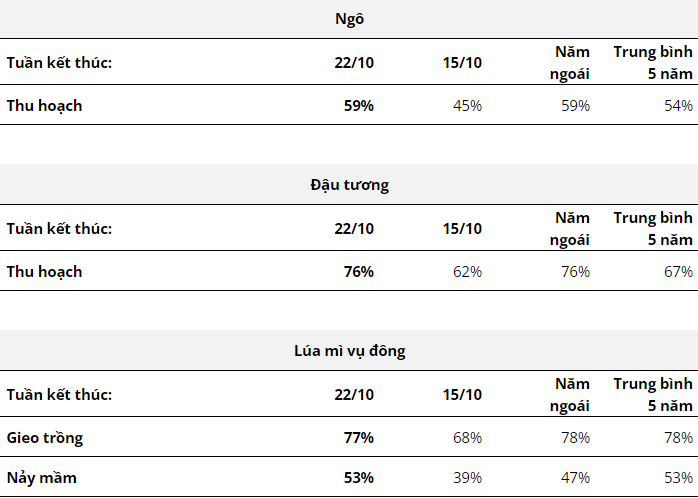 hanghoafutures.com