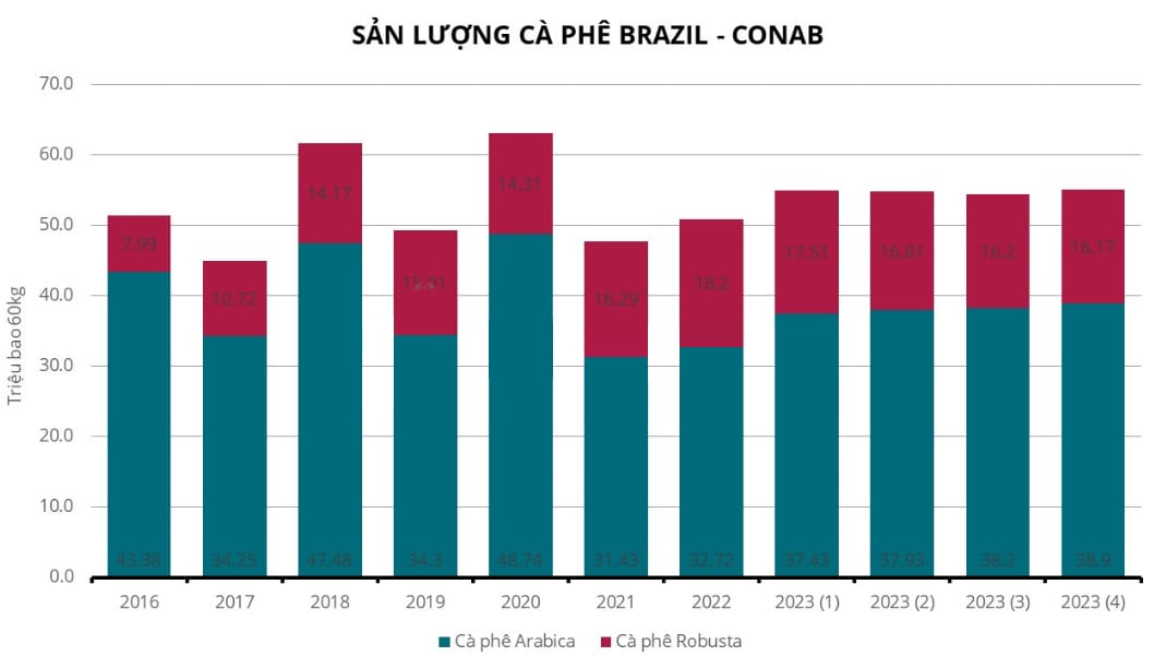 CONAB nâng dự báo sản lượng cà phê năm 2023 của Brazil