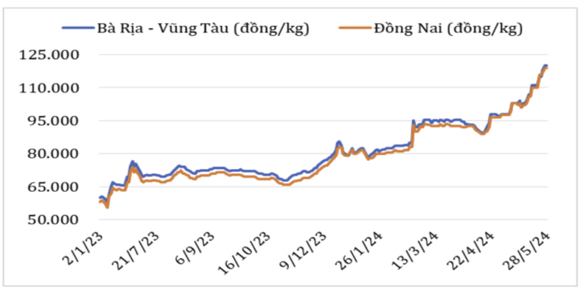 Diễn biến giá hạt tiêu đen tại thị trường nội địa năm 2023 – 2024