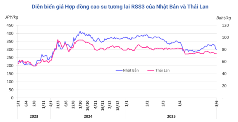 HanghoaFutures.com