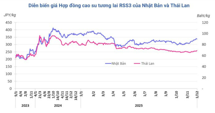 Diễn biến giá cao su kỳ hạn tại Thái Lan và Nhật Bản