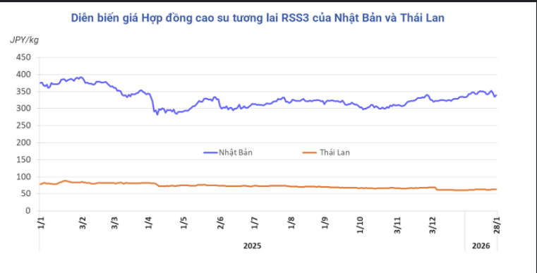 Diễn biến giá cao su kỳ hạn tại Thái Lan và Nhật Bản.