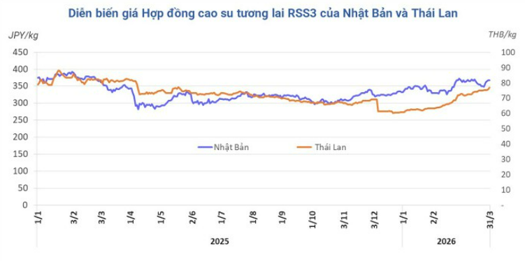 Diễn biến giá cao su kỳ hạn tại Thái Lan và Nhật Bản.