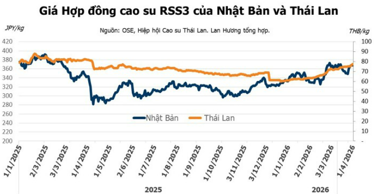 Diễn biến giá cao su kỳ hạn tại Thái Lan và Nhật Bản