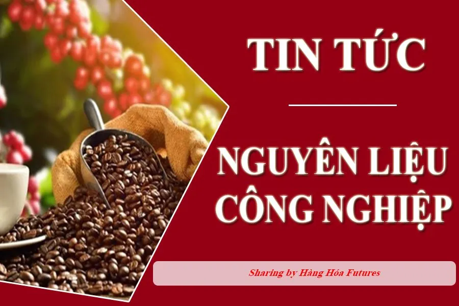 Hàng hóa Future , HHF team, cà phê Robusta
