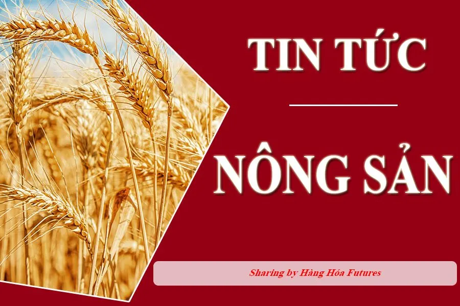 Hàng Hóa Futures , HHF team , Nông sản , Ngô , Lúa mì