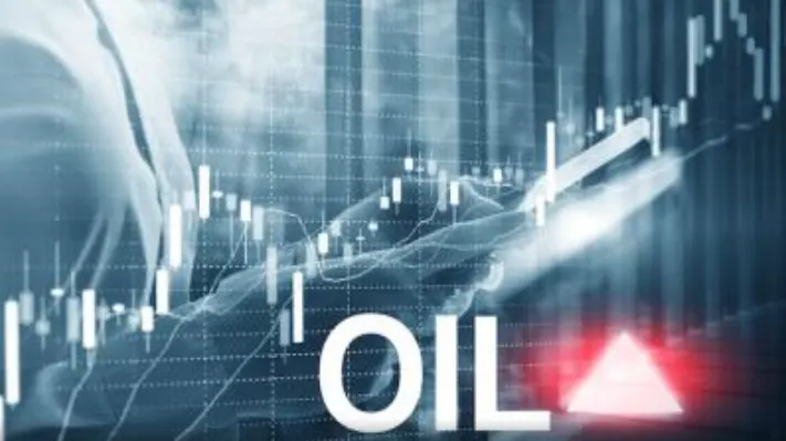 hanghoafutures.com