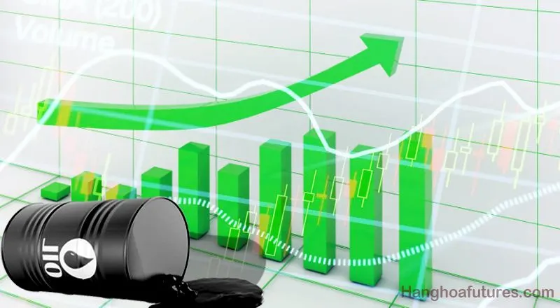 hanghoafutures.com