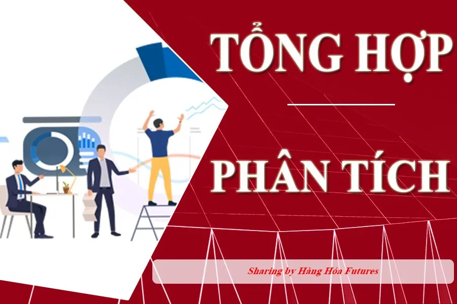 hanghoafutures.com