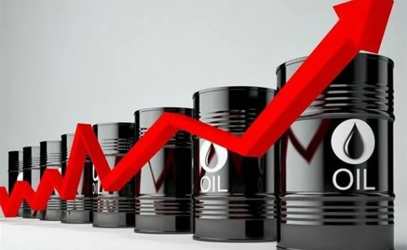 hanghoafutures.com