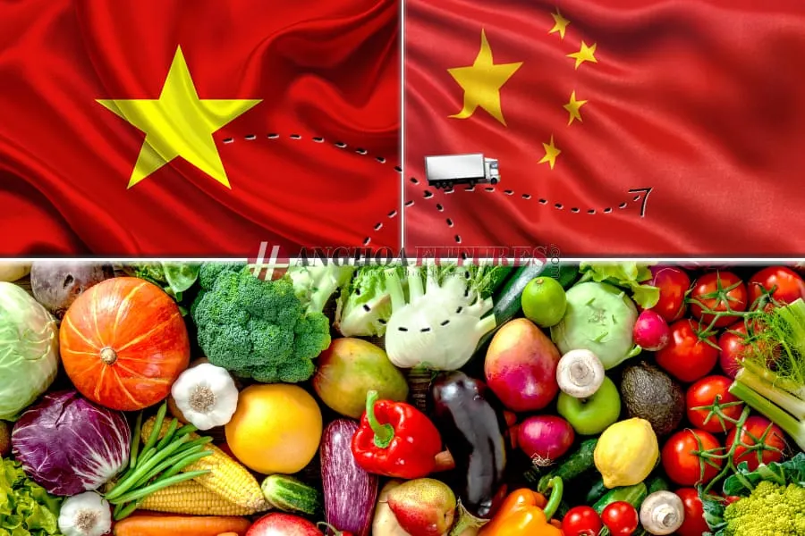 Hanghoafutures.com
