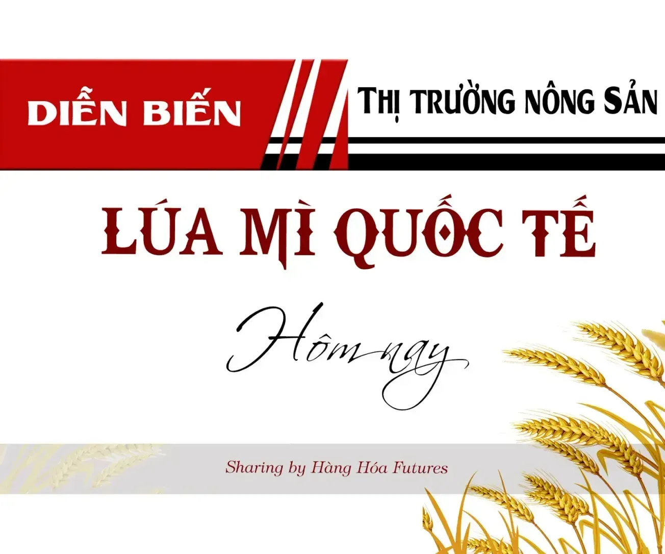 Hanghoafutures.com