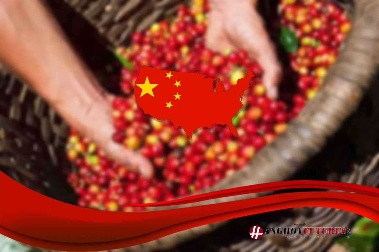 HanghoaFutures.com