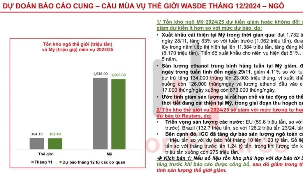 HanghoaFutures.com