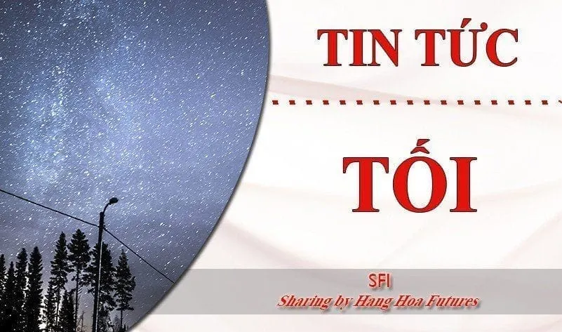 [Tin tức Tối] - Ngày 11.02.2025