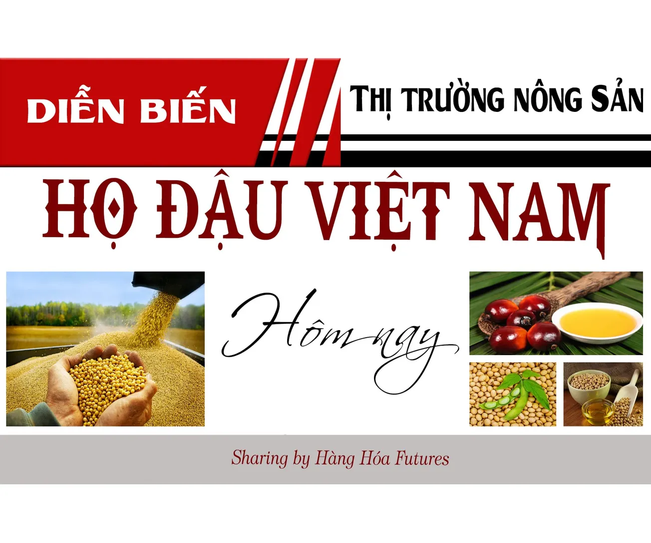 HanghoaFutures.com