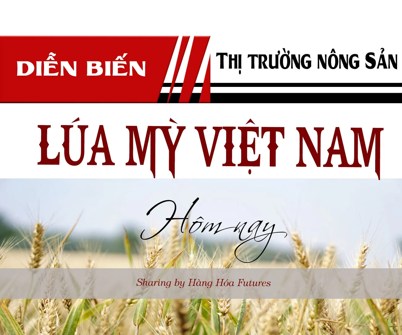 HanghoaFutures.com