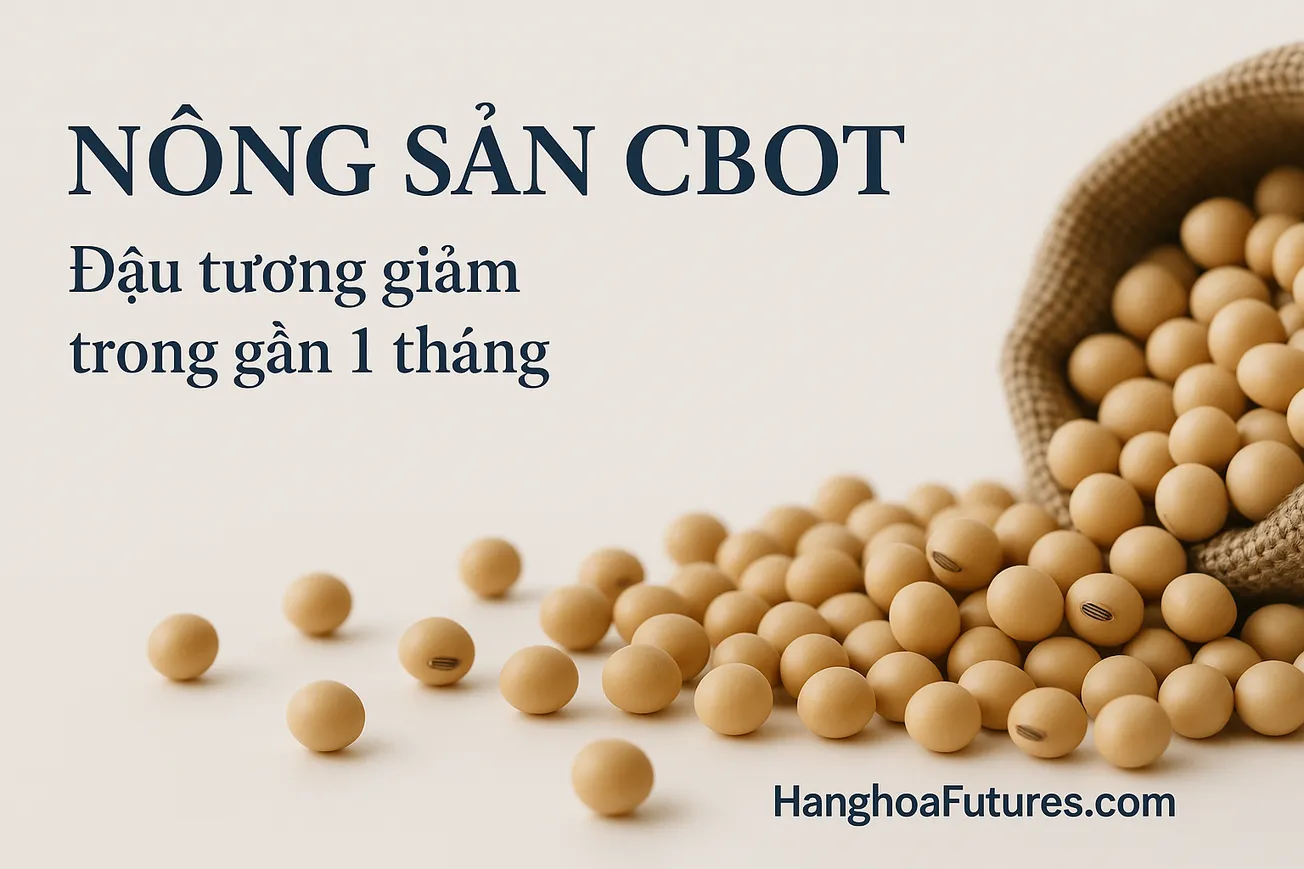 HanghoaFutures.com