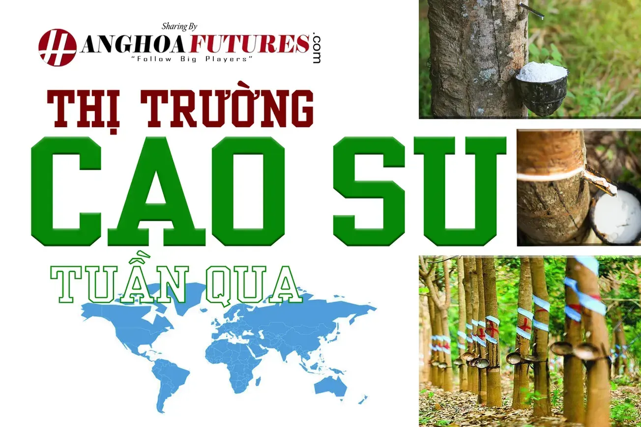 HanghoaFutures.com