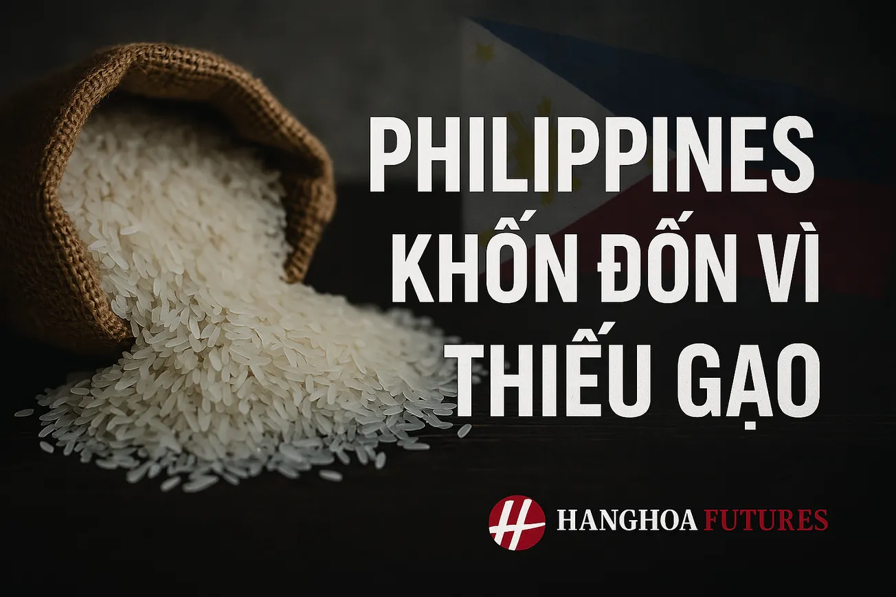 HanghoaFutures.com