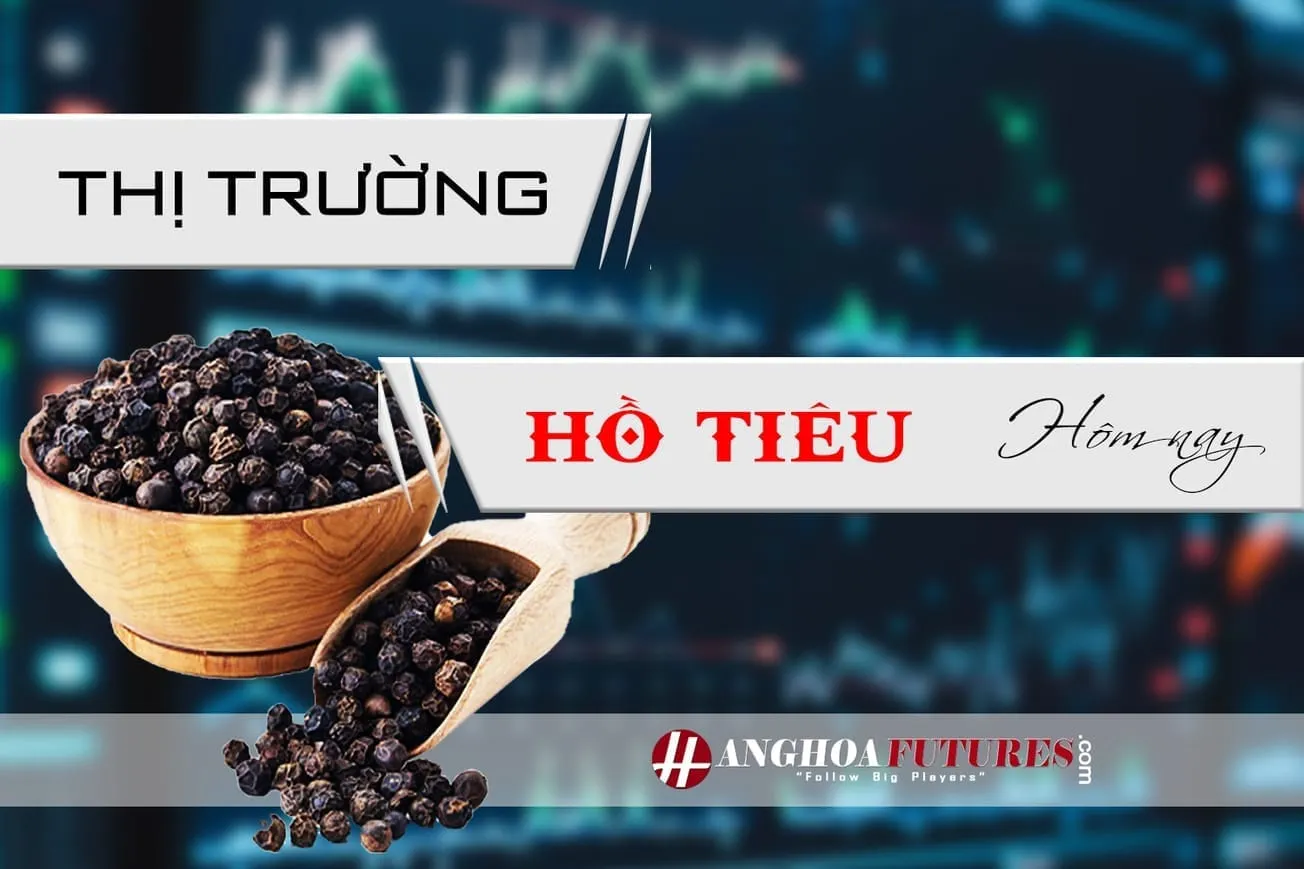 HanghoaFutures.com