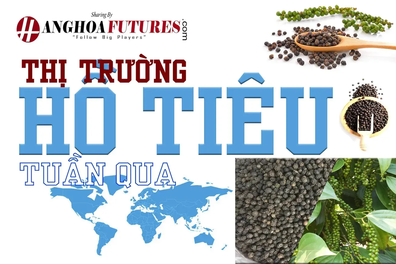 Thị trường Hồ Tiêu Tuần qua (03/04-09/04/2025)