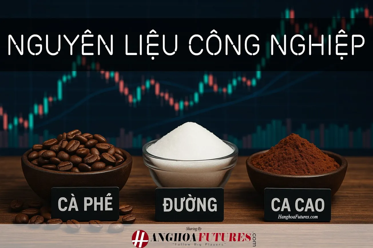 HanghoaFutures.com