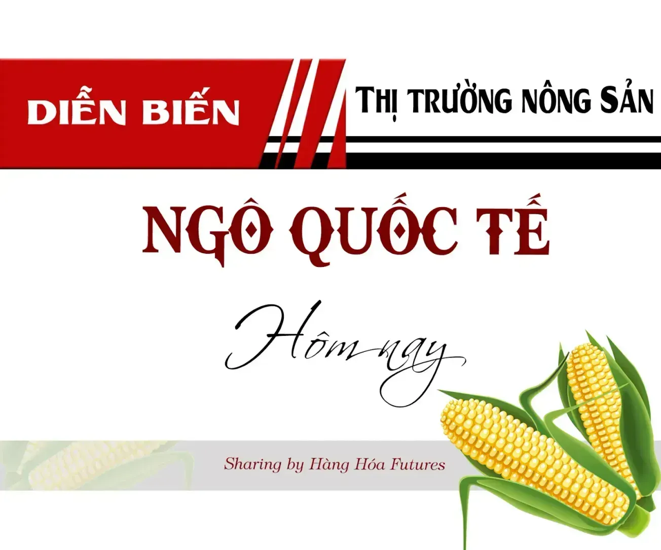HanghoaFutures.com