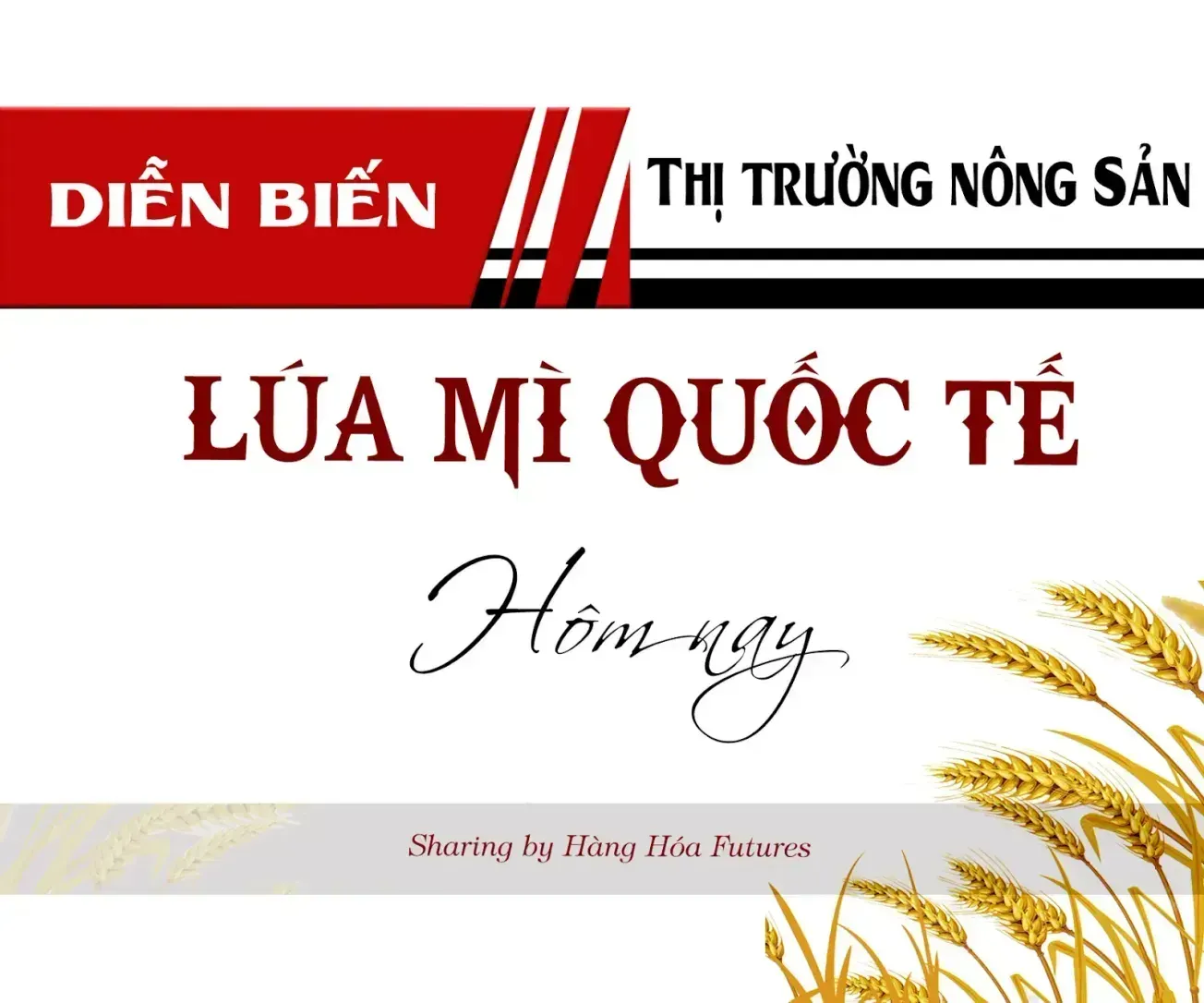 HanghoaFutures.com