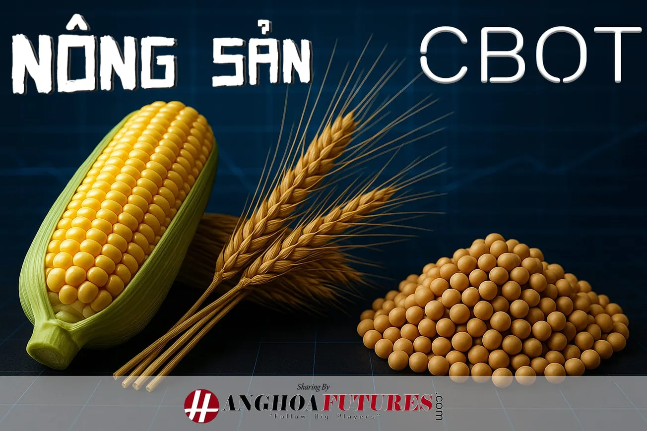 HanghoaFutures.com