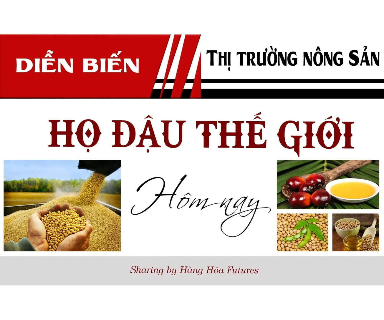 HanghoaFutures.com