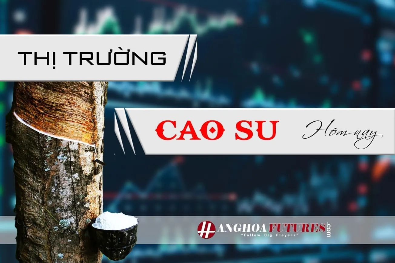 Thị trường Cao Su Hôm nay ngày 03/12/2025