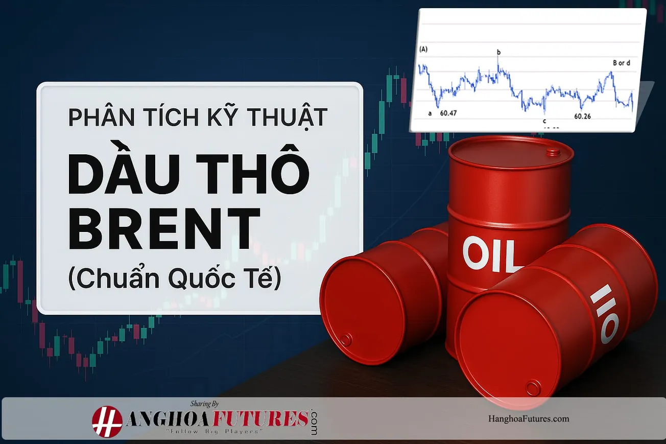 HanghoaFutures.com