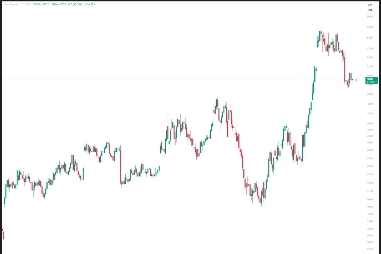 Giá ngô CBOT giảm khi thu hoạch mở rộng và đồng USD mạnh lên
