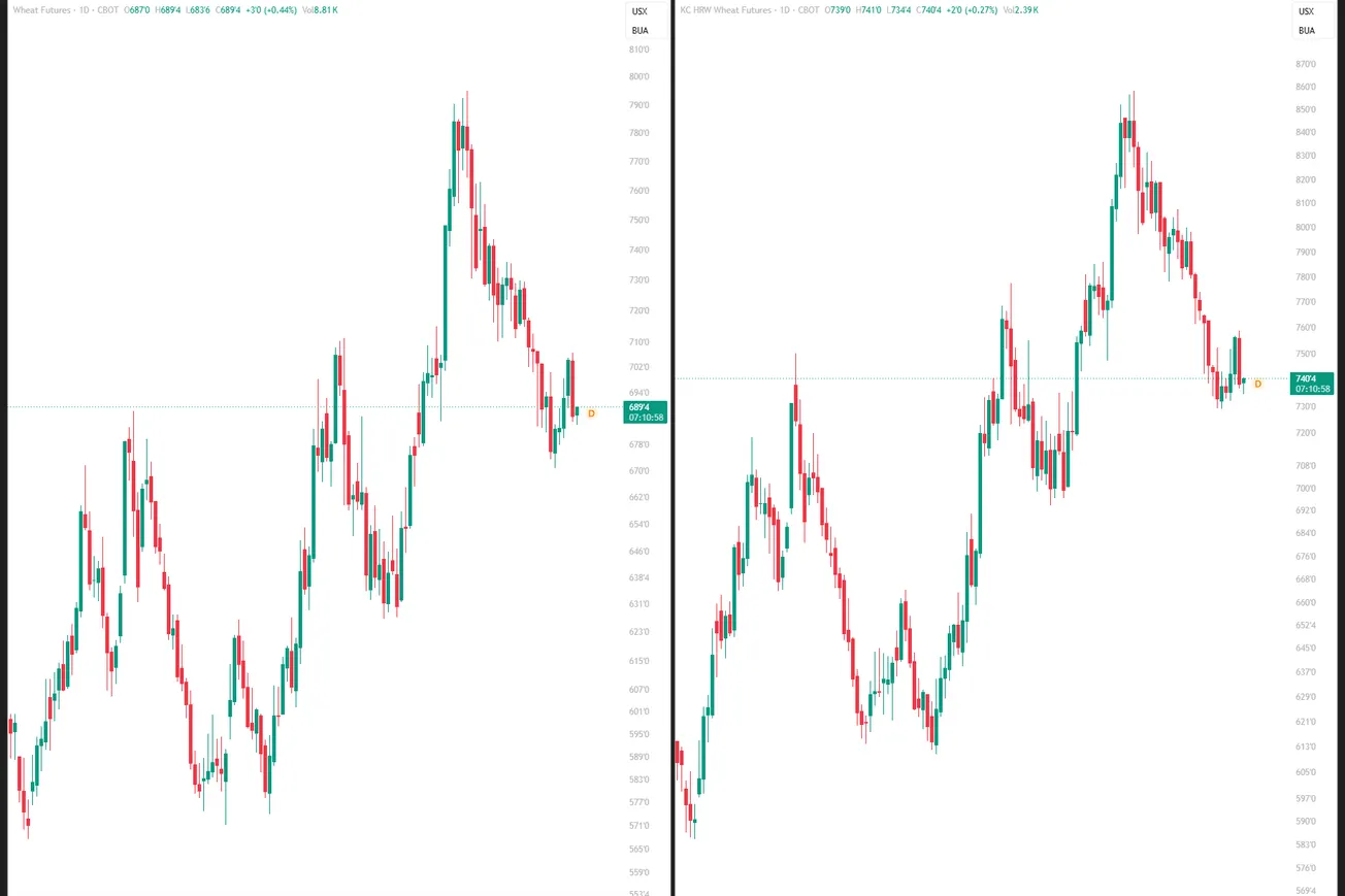 Giá lúa mì CBOT giảm hơn 2% khi đồng USD mạnh lên và nhà đầu tư bán kỹ thuật