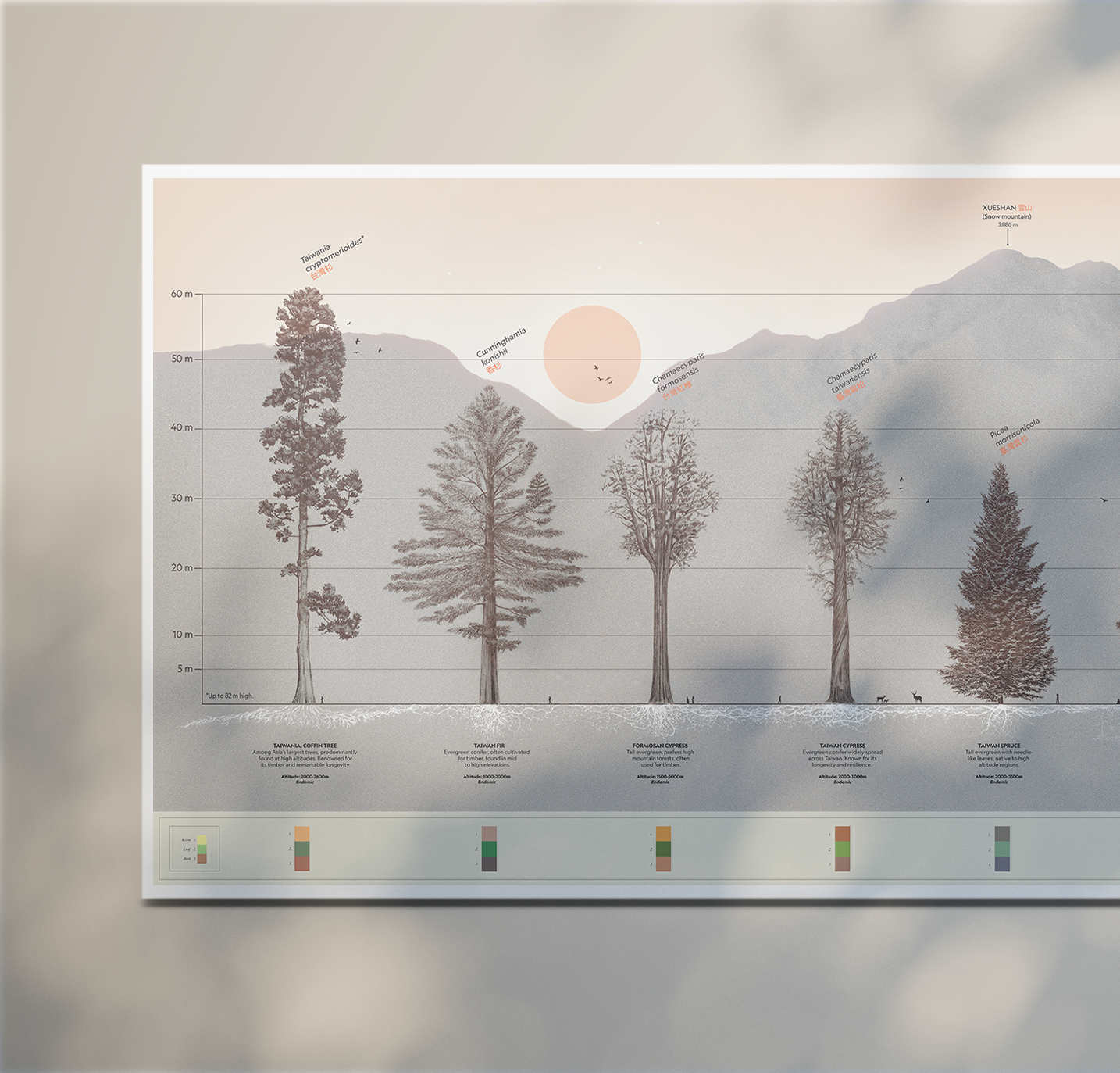 Description of image 1